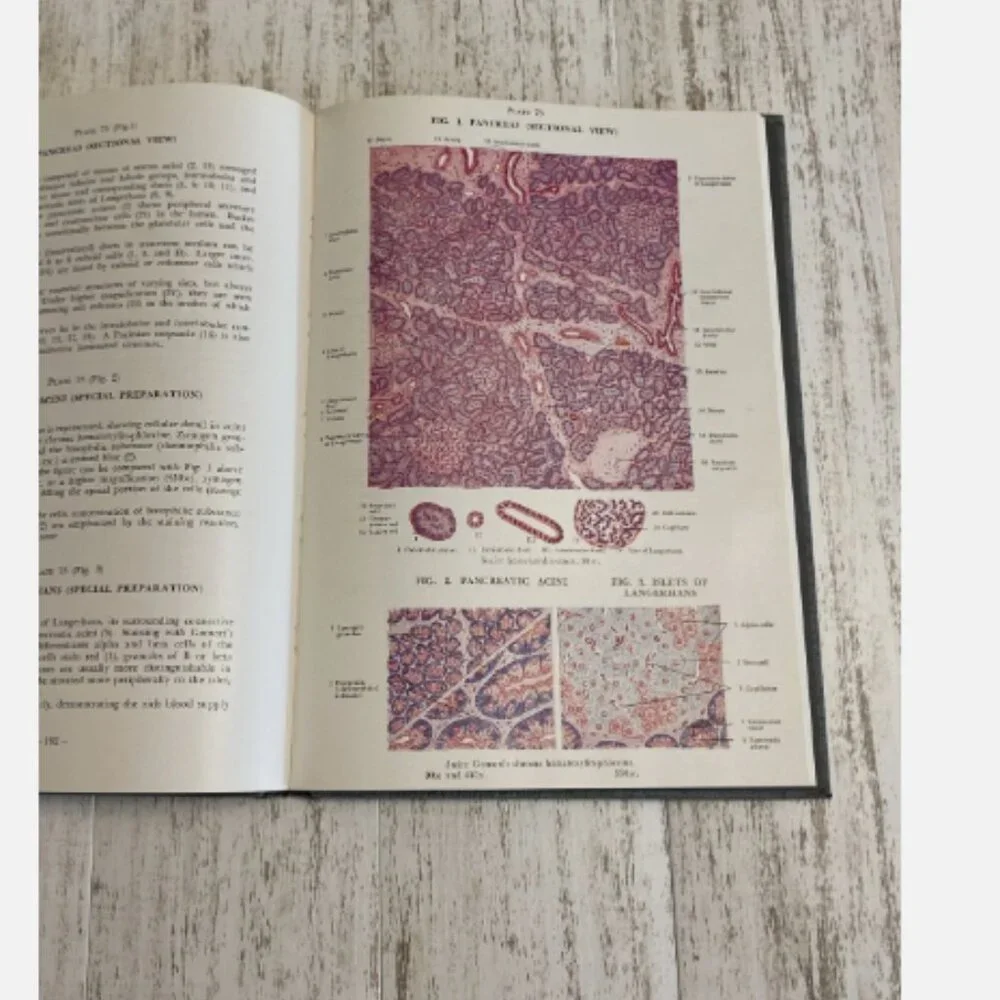 Vintage Atlas of Human Histology Textbook 1973 3rd Ed Mariano Di Fiore Hardcover